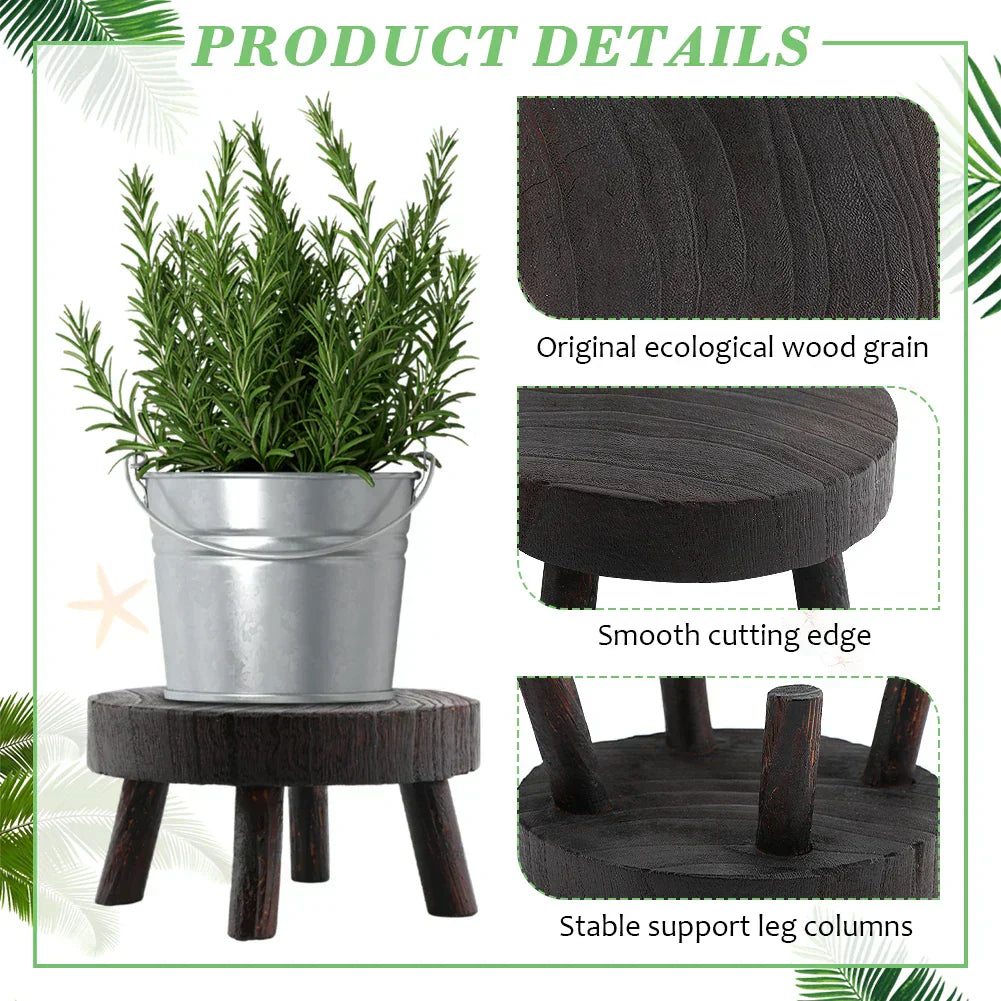 Multipurpose Wooden Stool Step Ladder for Fishing and More