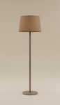 Brushed Metal Task Lamp